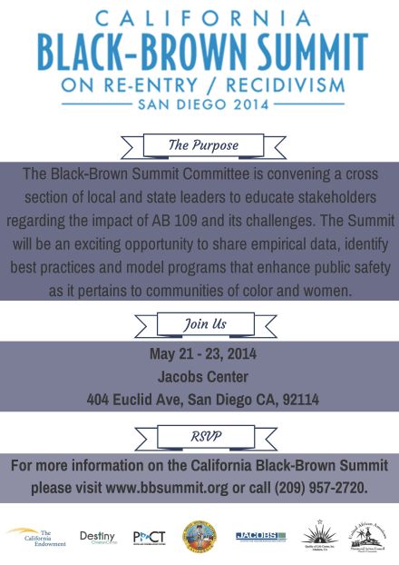 Black Brown Summit Flyer